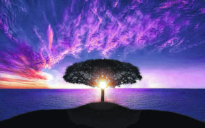 Helping loved ones handle sundowning