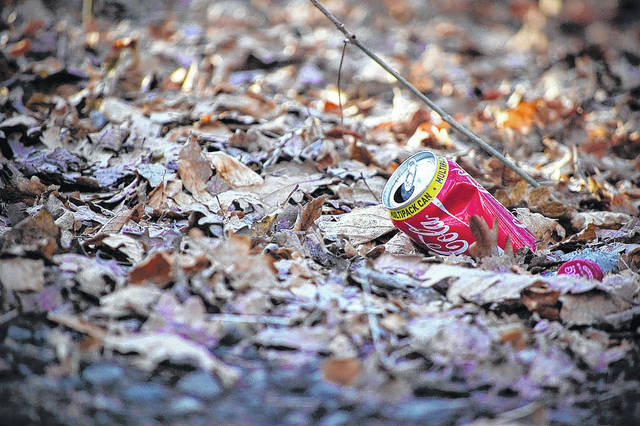 For more information on Pick Up Pickens, visit the Parks, Recreation and Tourism page at www.pickenscountysc.com.
                                 Courtesy photo