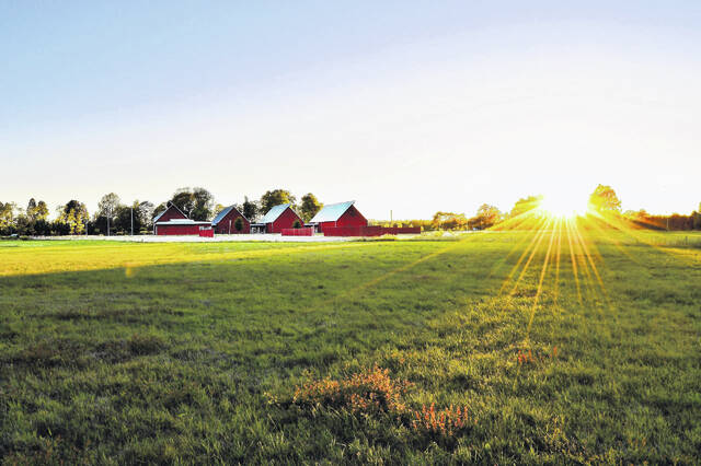 129883106_web1_redbarn-scaled
Any legal resident of South Carolina, at least 18 years of age, with 3-10 years of farming experience is eligible to apply for the SCNBFP Advanced Program.
Courtesy photo