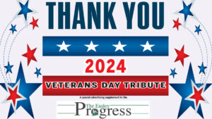 2024 Veterans Day Tribute