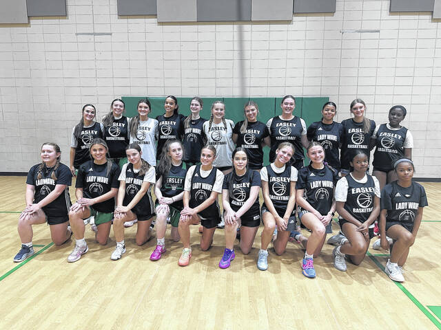 <p>Jeff Holt | The Easley Progress</p>