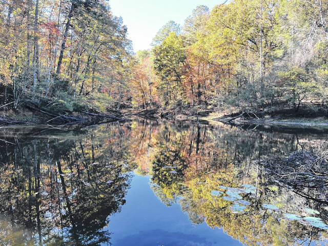 Duck Haven in Pickens County is a former peach orchard and cattle farm encompassing 146 acres of open fields, wetlands, and deciduous and evergreen forests along the Saluda River. (Courtesy photo).